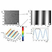 Holographic measurement of surface acoustic ...